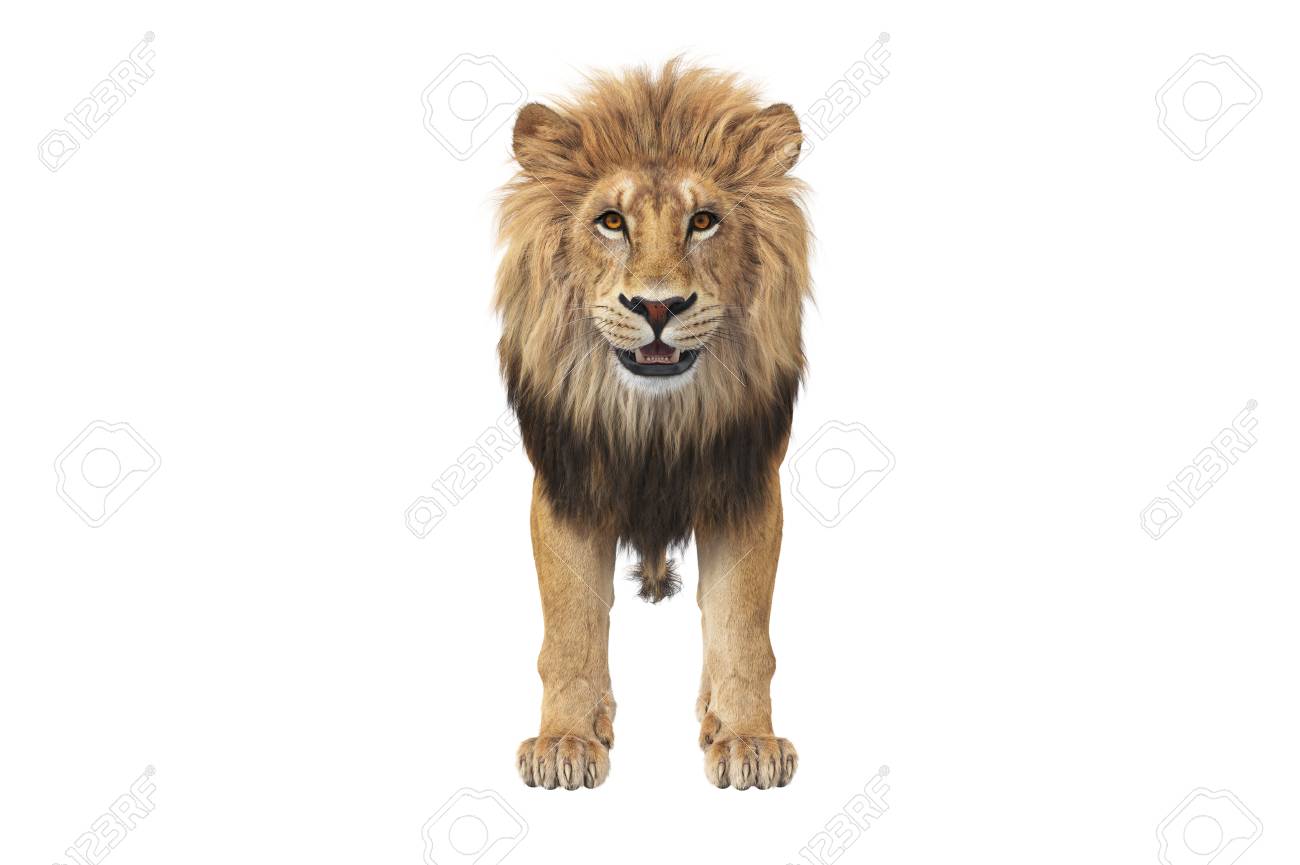 オレンジ色の目を持つライオンの動物の獣 正面図 3d レンダリング の写真素材 画像素材 Image