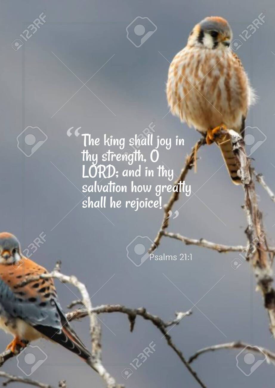 Bible Words " The King Shall Joy In They Strength ,O Lord : And In They  Salvation How Greatly Shall He Rejoice "Psalms 21:1 Stock Photo, Picture  And Royalty Free Image. Image 153632081.