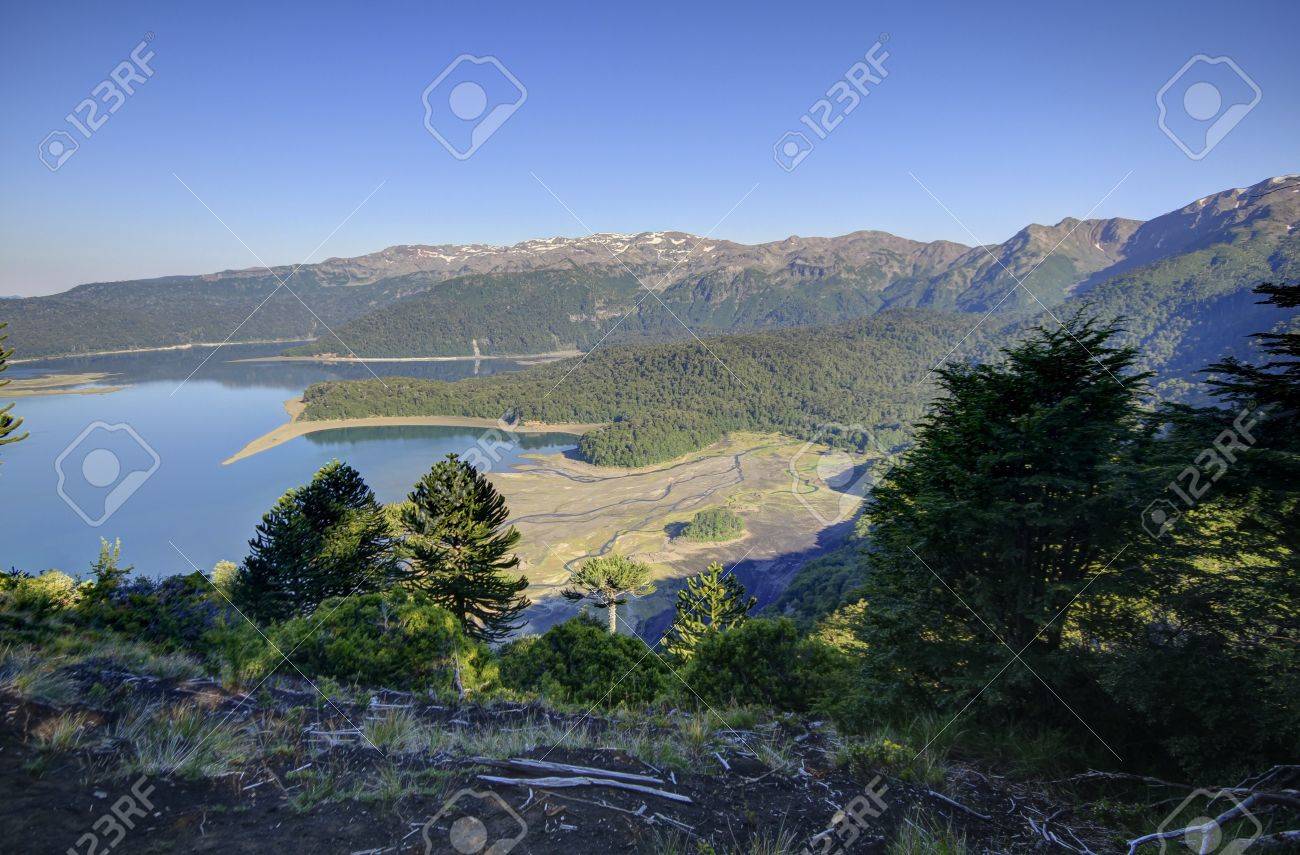 etiam-dictum-ipsum-a-felis