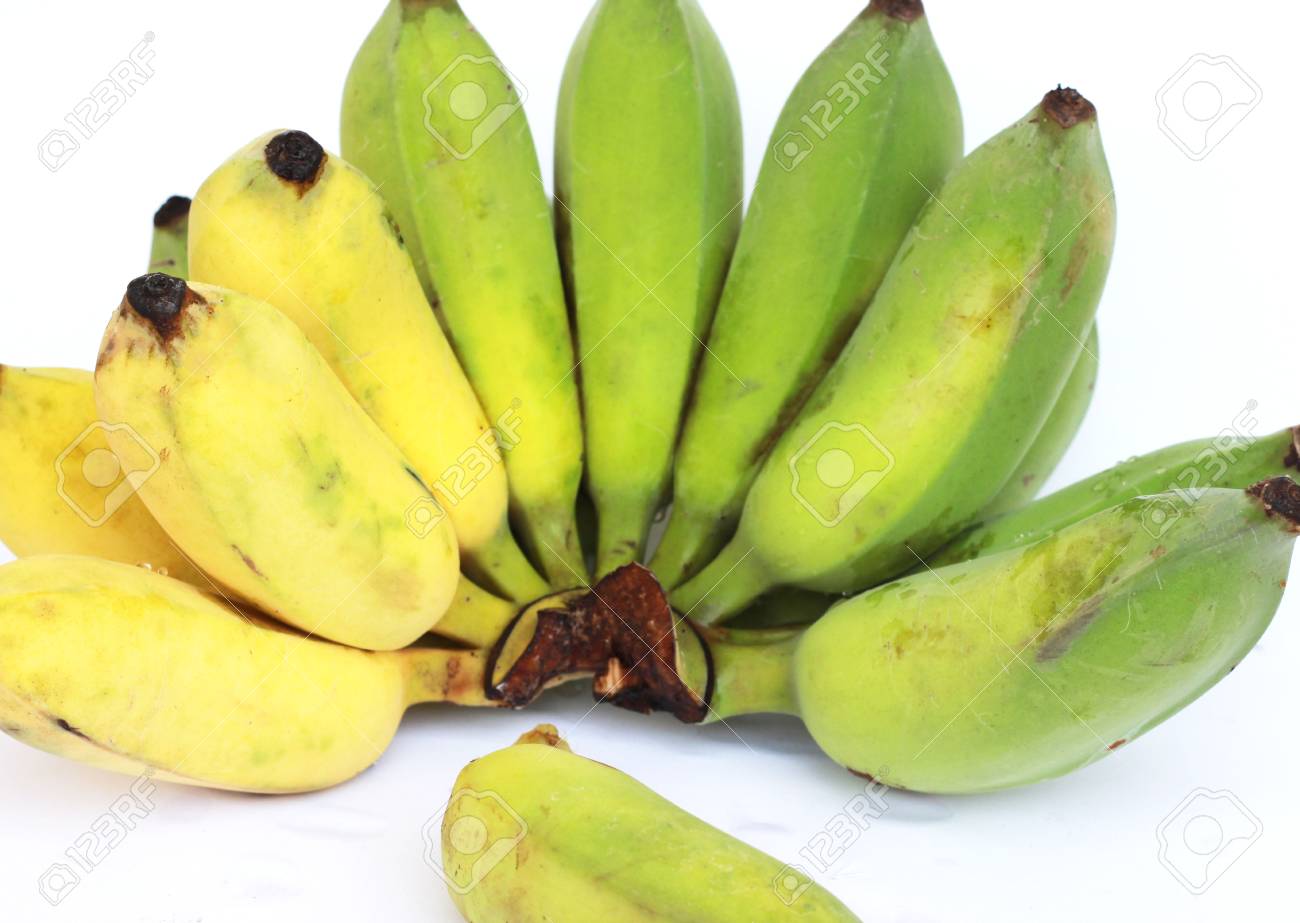 Bananas Que Vao Ser Cozidas Sao Amarelo Esverdeado Sobre Um Fundo Branco Fotos Retratos Imagenes Y Fotografia De Archivo Libres De Derecho Image 79659660