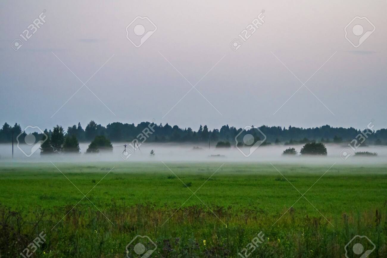 Morning fog in the fields of Leningrad region. - 118778443 Morning fog in the fields of Leningrad region. - 118778443