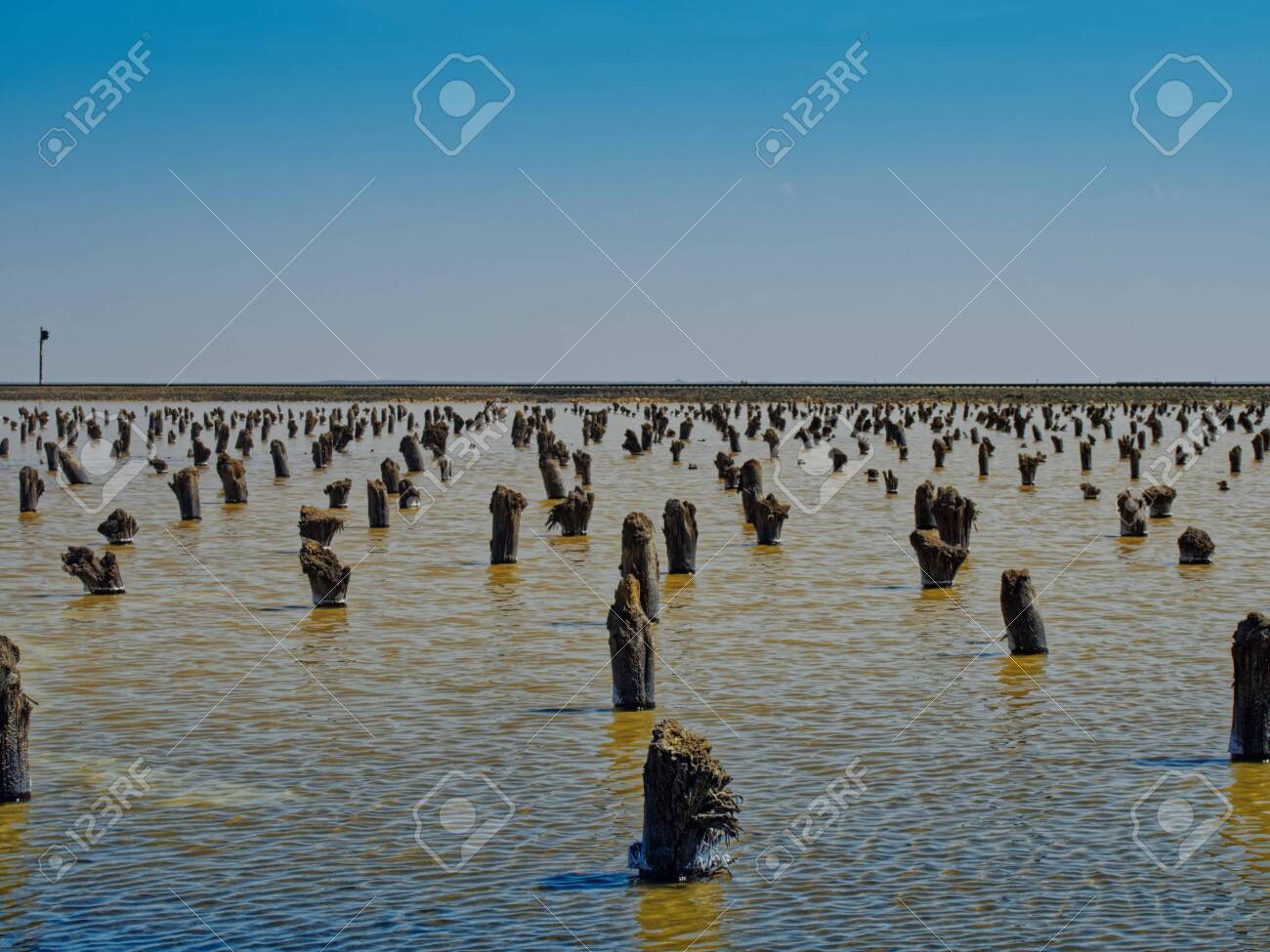 The Lake Baskunchak. Salted remains of bridge supports. - 136880702 The Lake Baskunchak. Salted remains of bridge supports. - 136880702