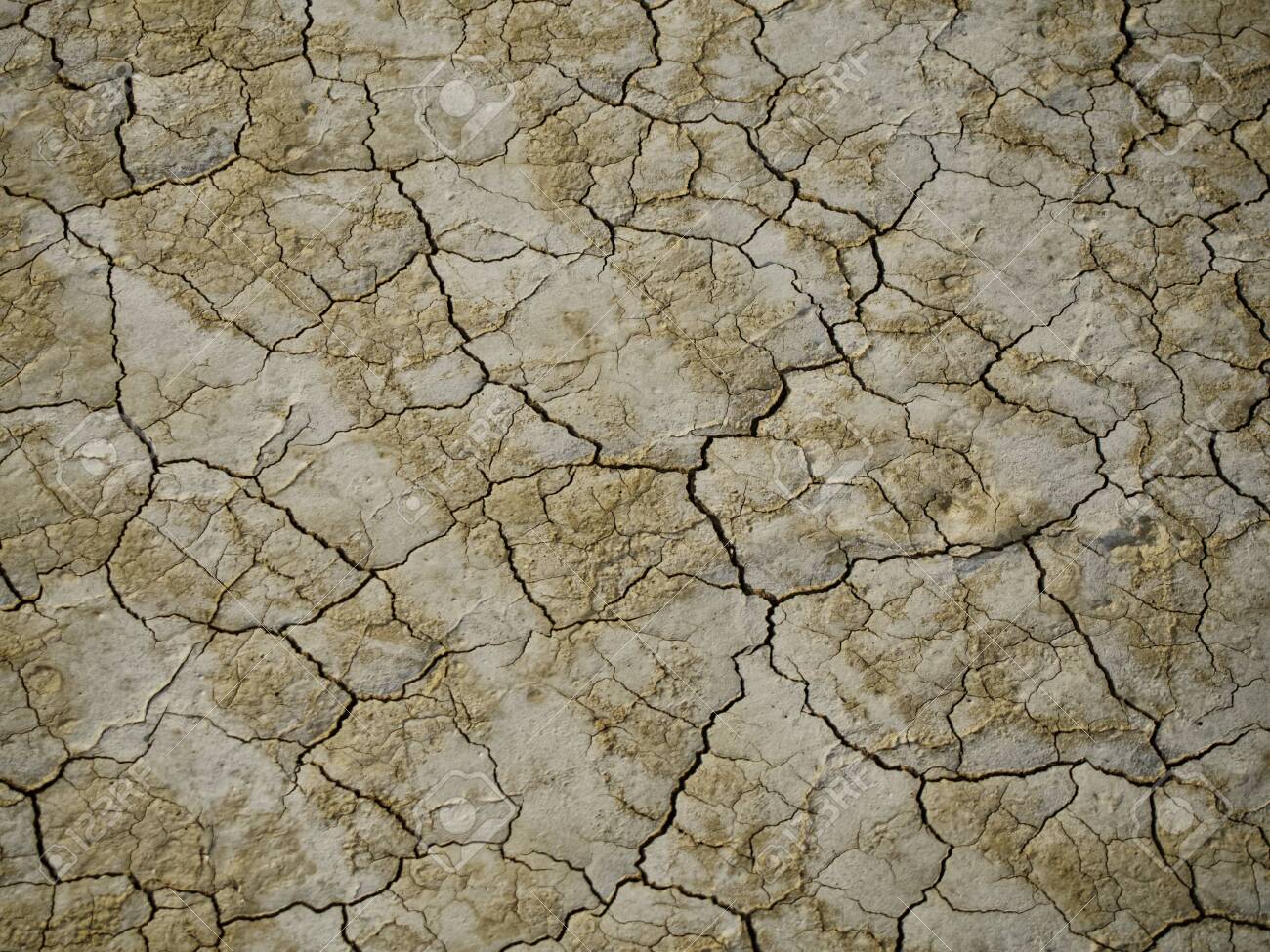 Cracked thin layer of earth in the hot steppes of Kazakhstan. - 137025893 Cracked thin layer of earth in the hot steppes of Kazakhstan. - 137025893