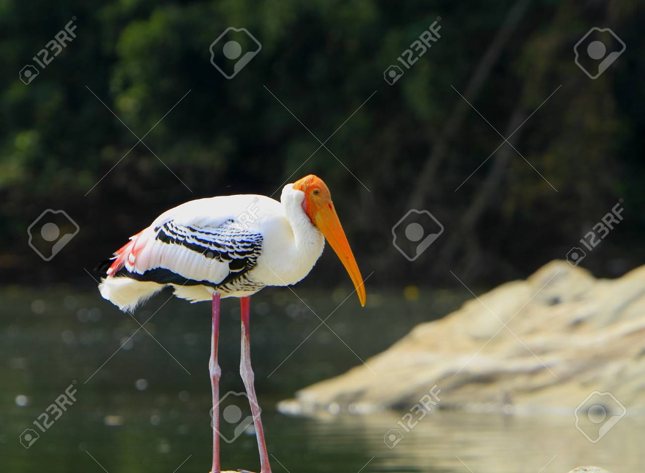 etiam-dictum-ipsum-a-felis