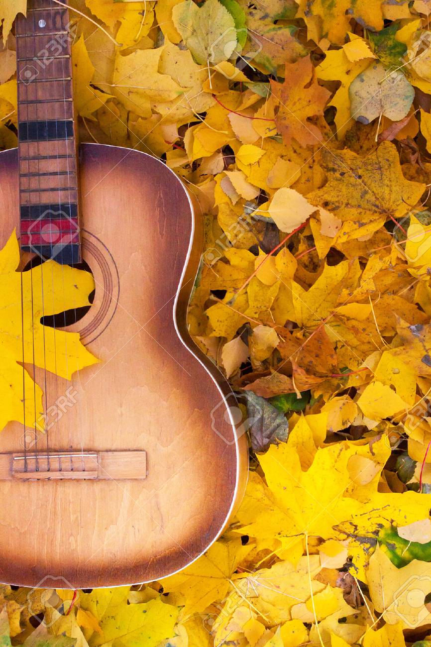 Guitar in autumn leaves. Autumn composition - 47361744 Guitar in autumn leaves. Autumn composition - 47361744