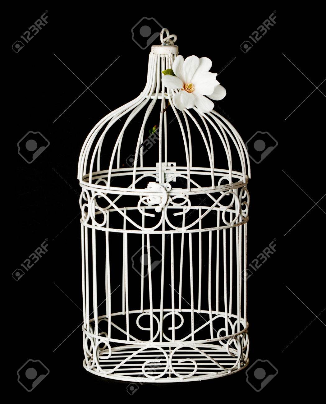 Shabby chic bird cage isolated on black background - 55669240 Shabby chic bird cage isolated on black background - 55669240