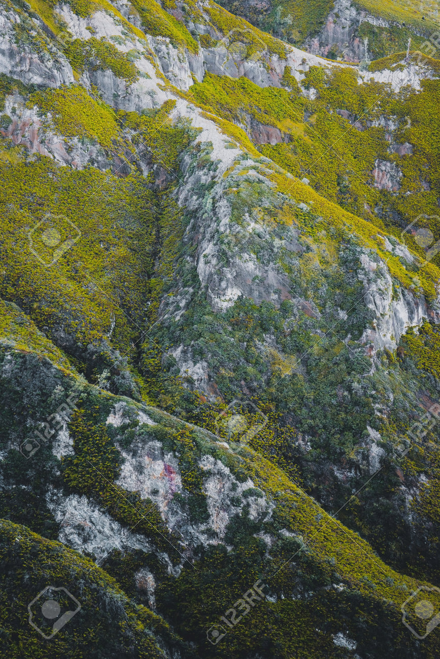 etiam-dictum-ipsum-a-felis