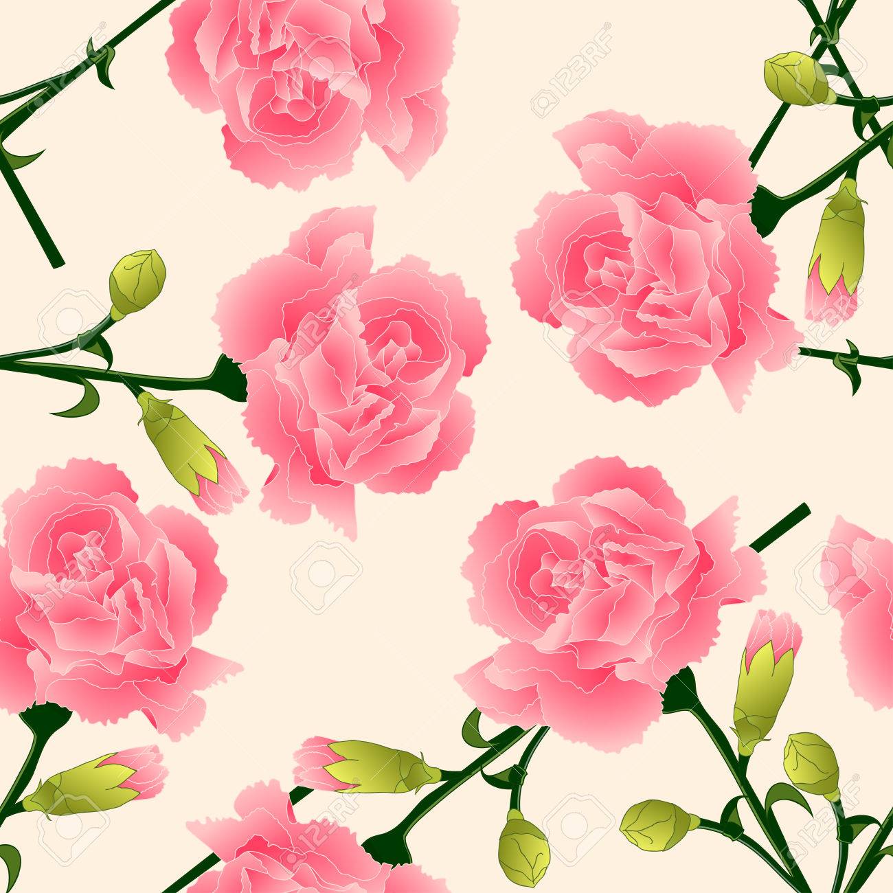 カーネーション花 カーネーション クローブ ピンク ベージュ アイボリー背景にスロベニア モナコ スペインの国花 ベクトルの図 のイラスト素材 ベクタ Image