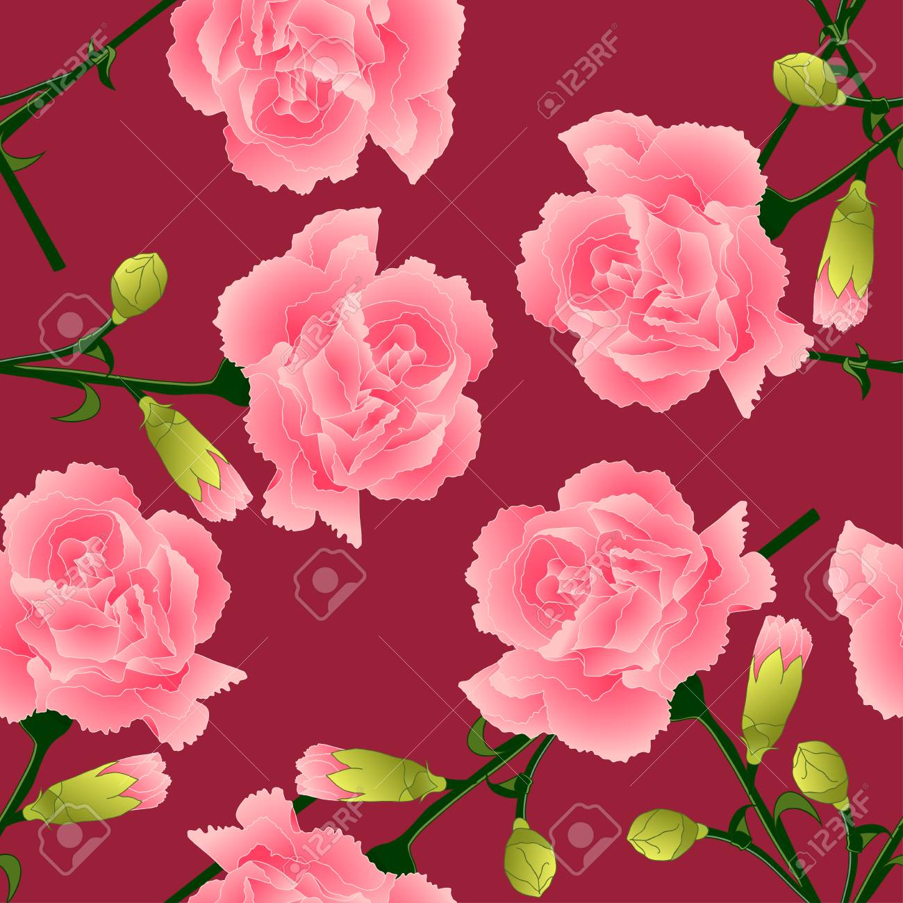 カーネーション花 カーネーション クローブ ピンク 赤背景にスロベニア モナコ スペインの国花 のイラスト素材 ベクタ Image