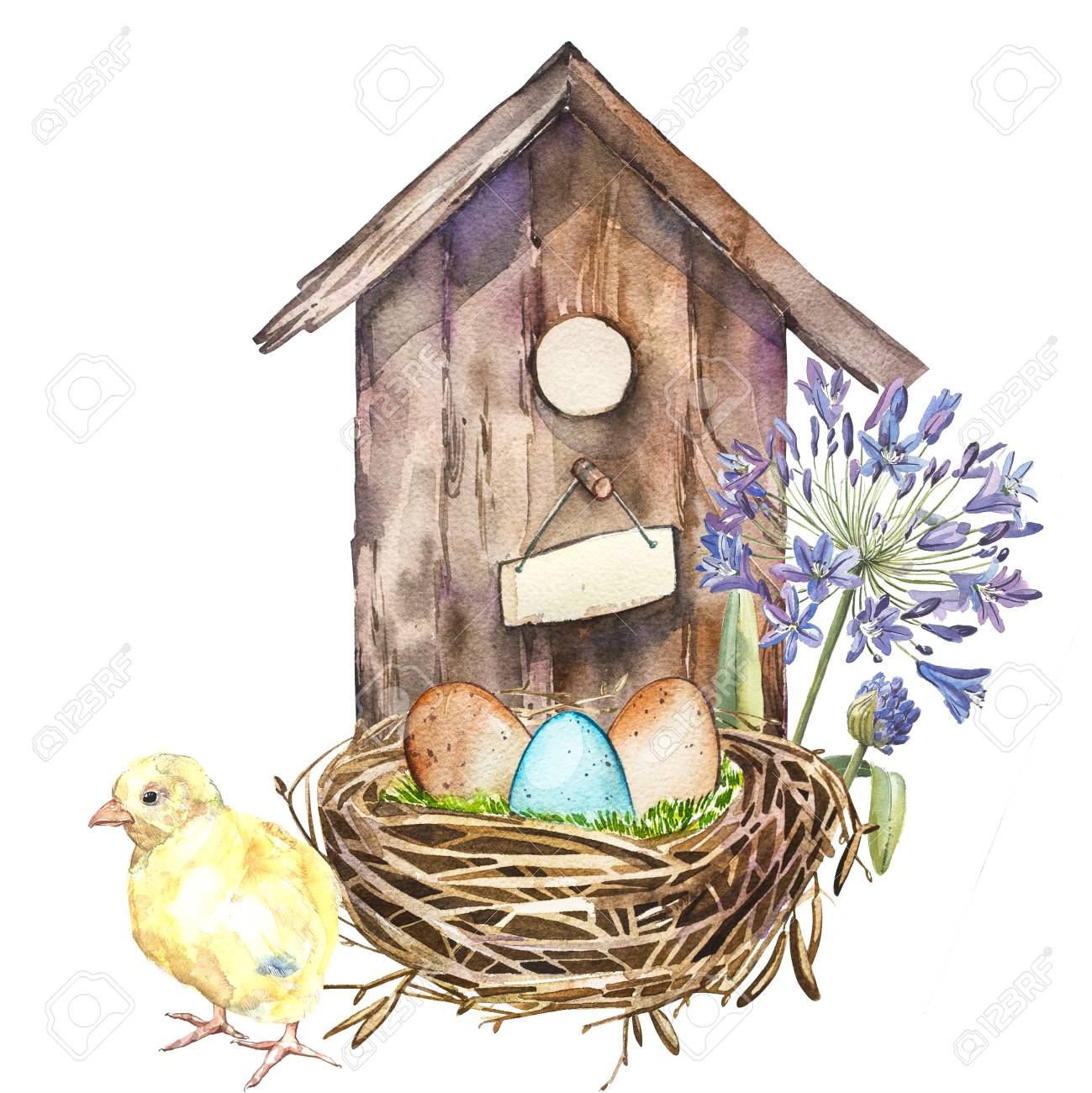 Watercolor Birdhouse With Spring Flowers Rooster Eggs Hand Stock Photo Picture And Royalty Free Image Image 72811554