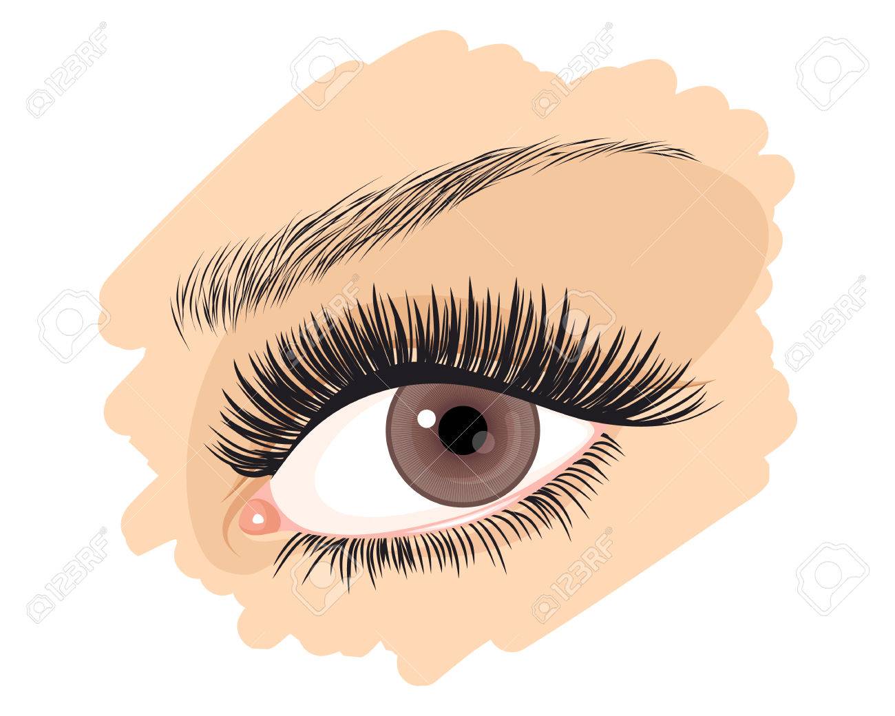 Ilustración Del Vector De Los Ojos Marrones De Una Niña Ilustraciones Svg, Vectoriales, Clip Art Vectorizado Libre De Derechos. Image 39466892. Ilustración Del Vector De Los Ojos Marrones De Una Niña Ilustraciones Svg, Vectoriales, Clip Art Vectorizado Libre De Derechos. Image 39466892.