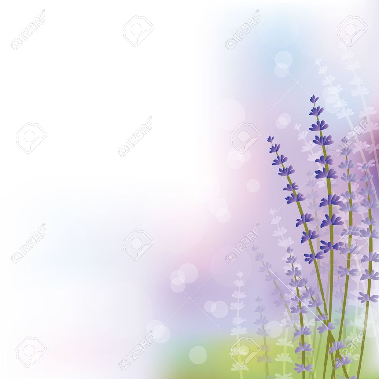 ラベンダーの背景のイラスト素材 ベクタ Image