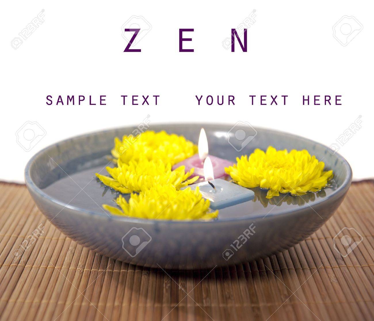 zen reflection chrysanthemum flowers with copy space - 8385424 zen reflection chrysanthemum flowers with copy space - 8385424