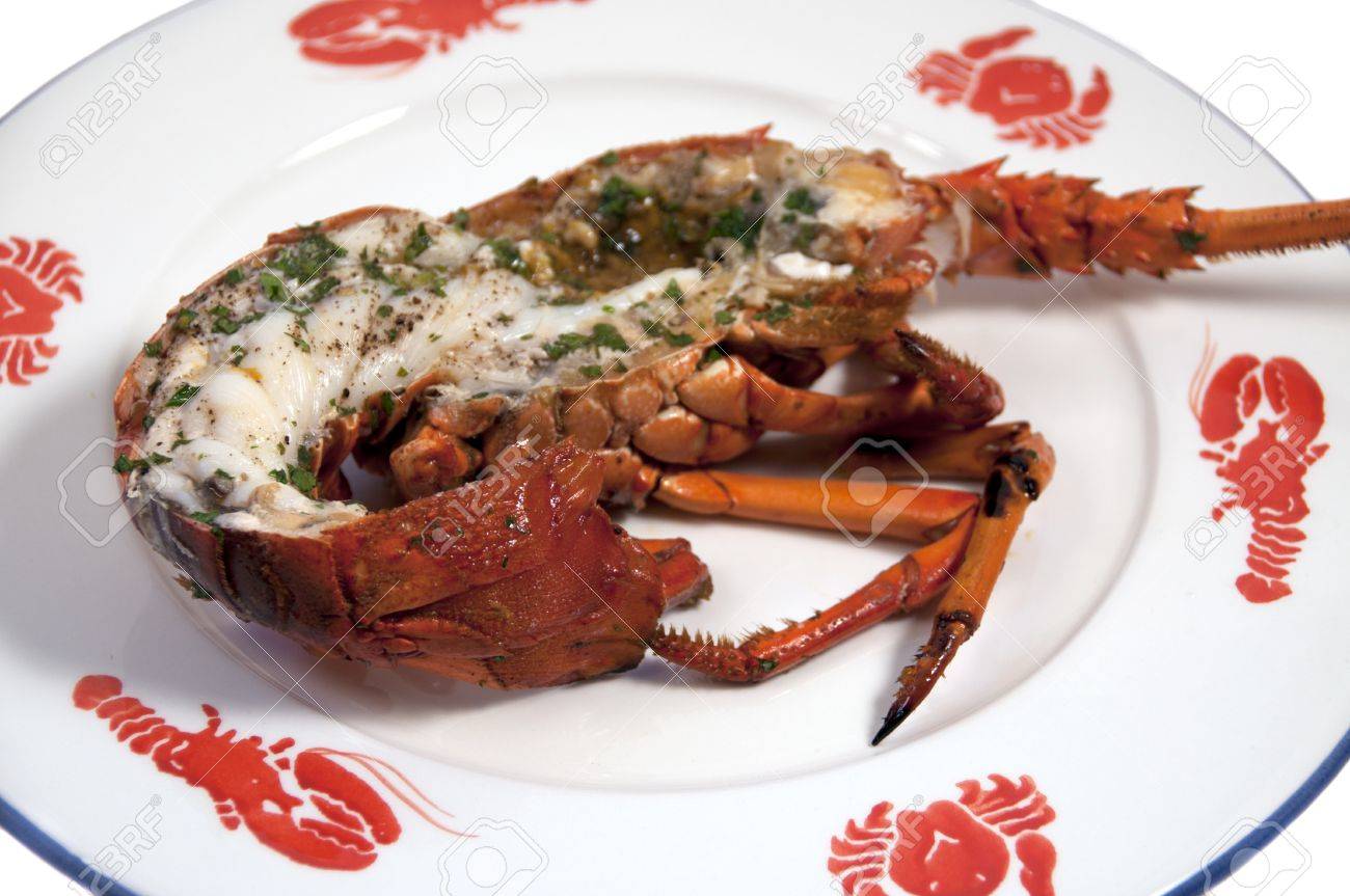 lobster dish on a seafood stencilled plate - 9651398 lobster dish on a seafood stencilled plate - 9651398