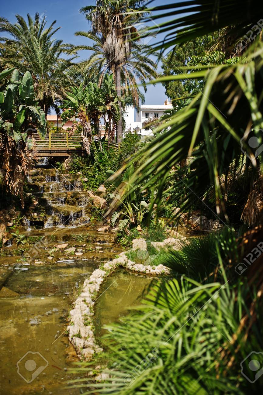 Tropical Garden With A Small Artificial Pond And Palm Trees Around