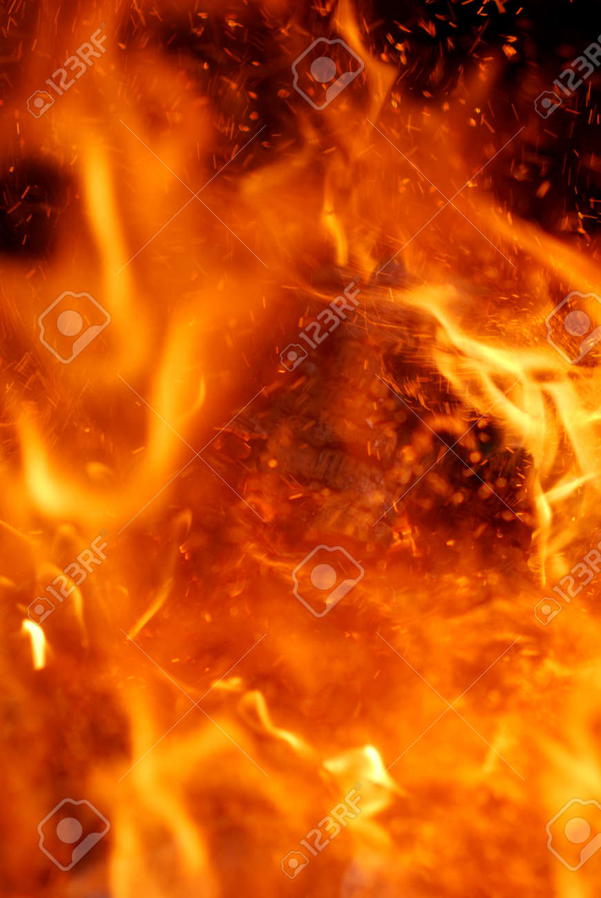 etiam-dictum-ipsum-a-felis