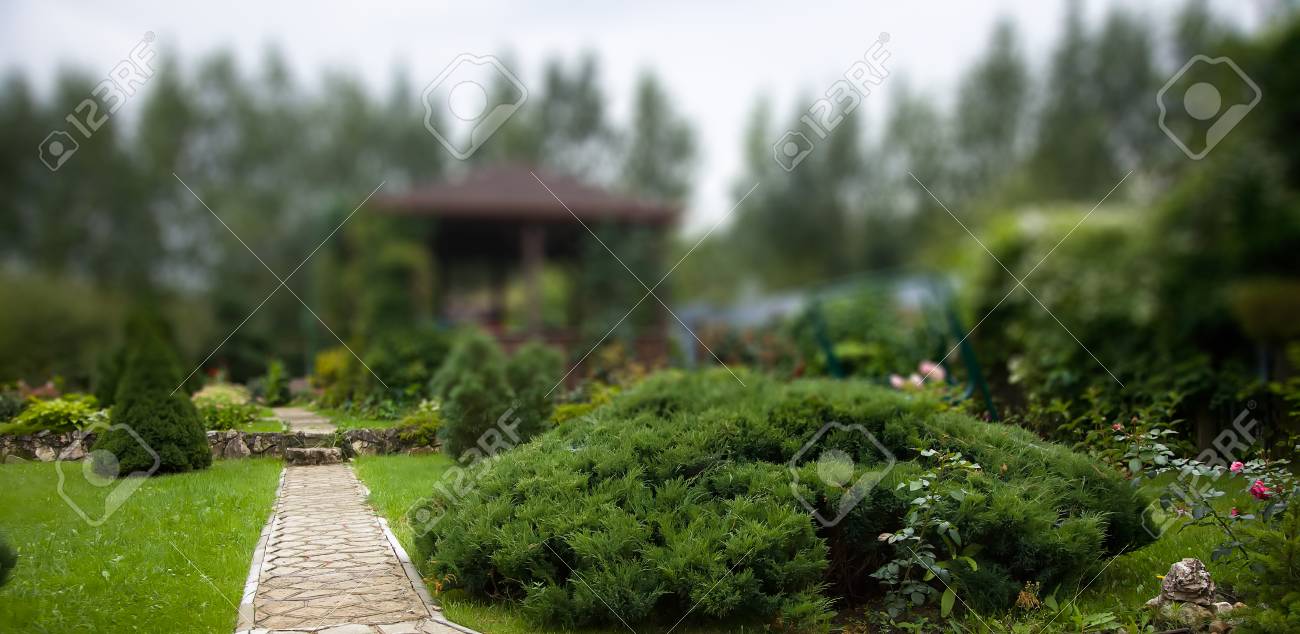 juniper landscaping juniper landscaping