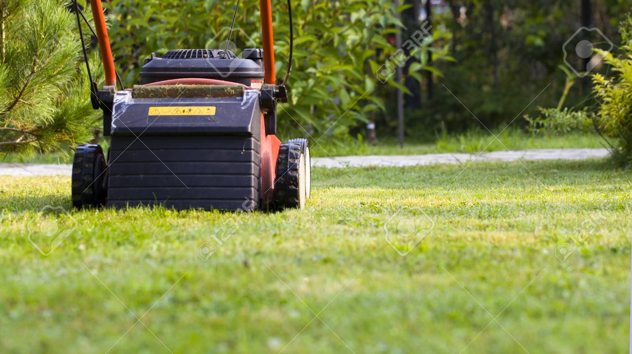 Lawn the mown sale