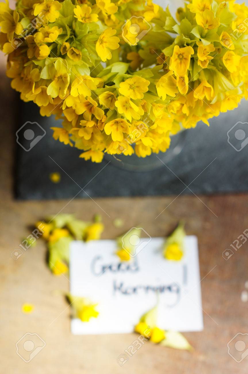 Original Good Morning Spring Images Naturesimagesart