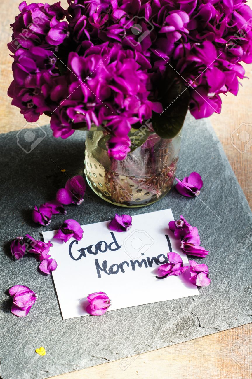 Original Good Morning Spring Images Naturesimagesart