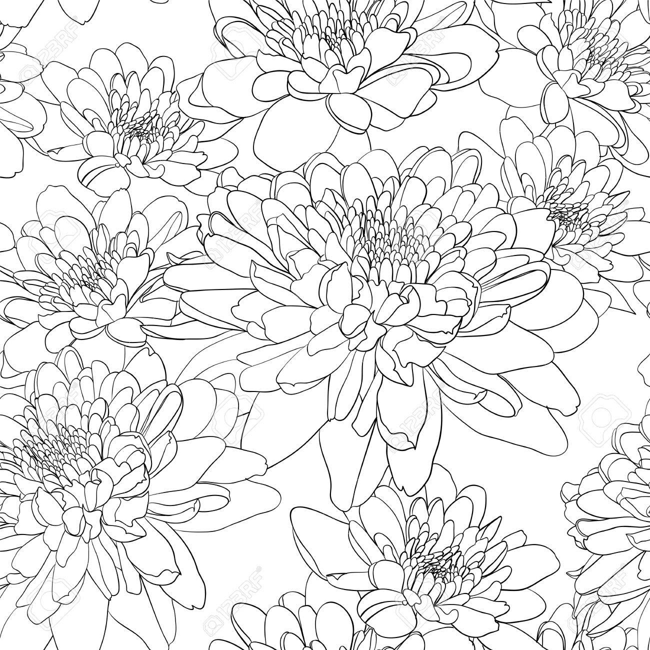 菊の花と花のシームレスな壁紙 のイラスト素材 ベクタ Image