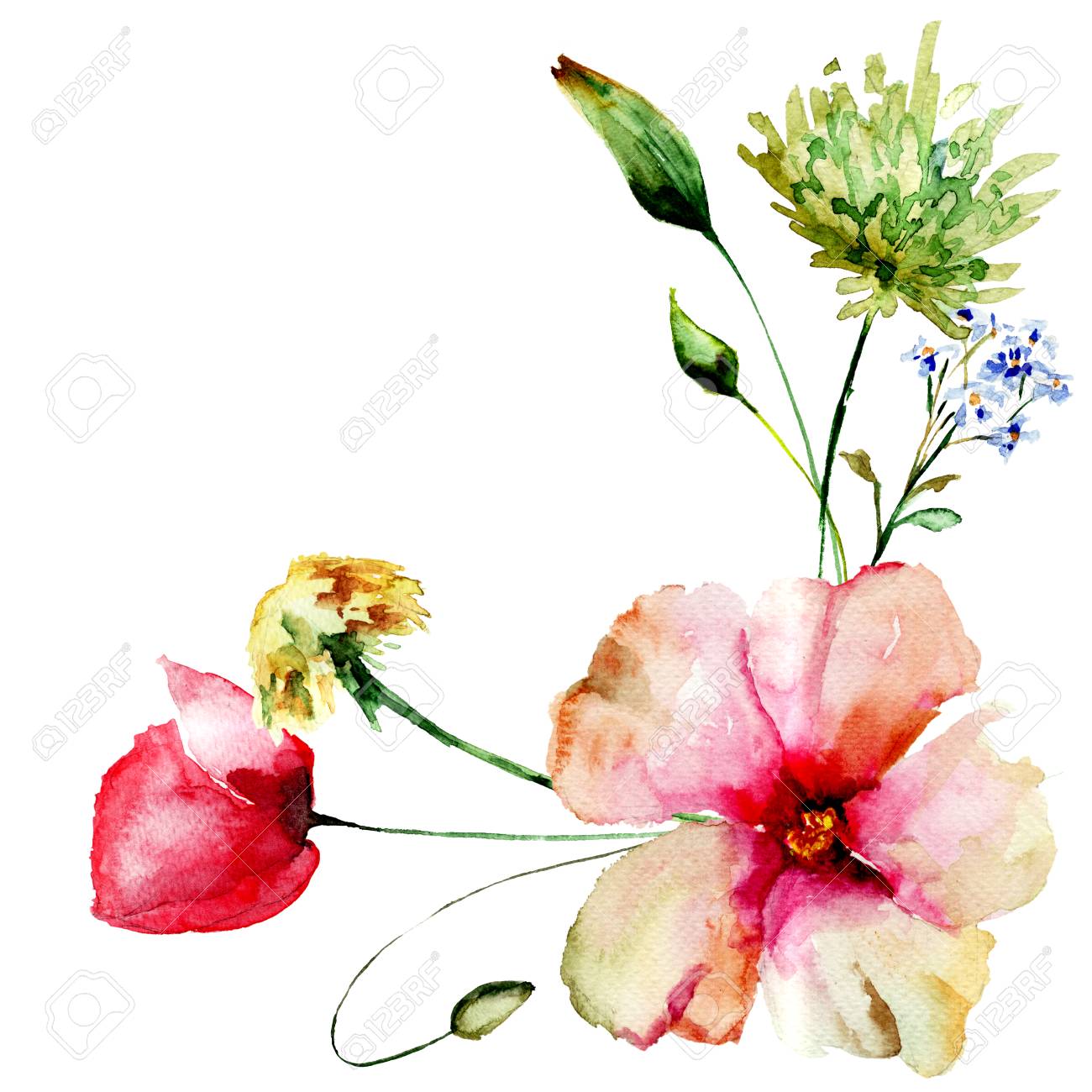 春の花水彩イラスト カード用テンプレート の写真素材 画像素材 Image 春の花水彩イラスト カード用テンプレート の写真素材 画像素材 Image