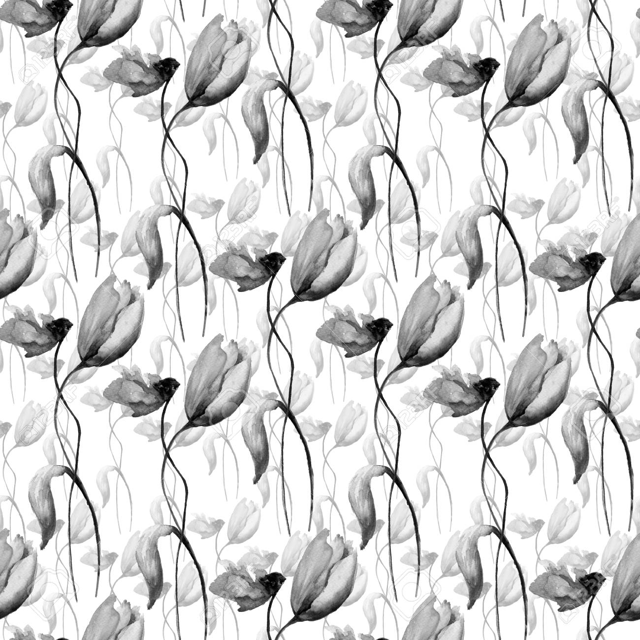 ポピーとチューリップの花 モノクロの水彩イラストでシームレスな壁紙 の写真素材 画像素材 Image
