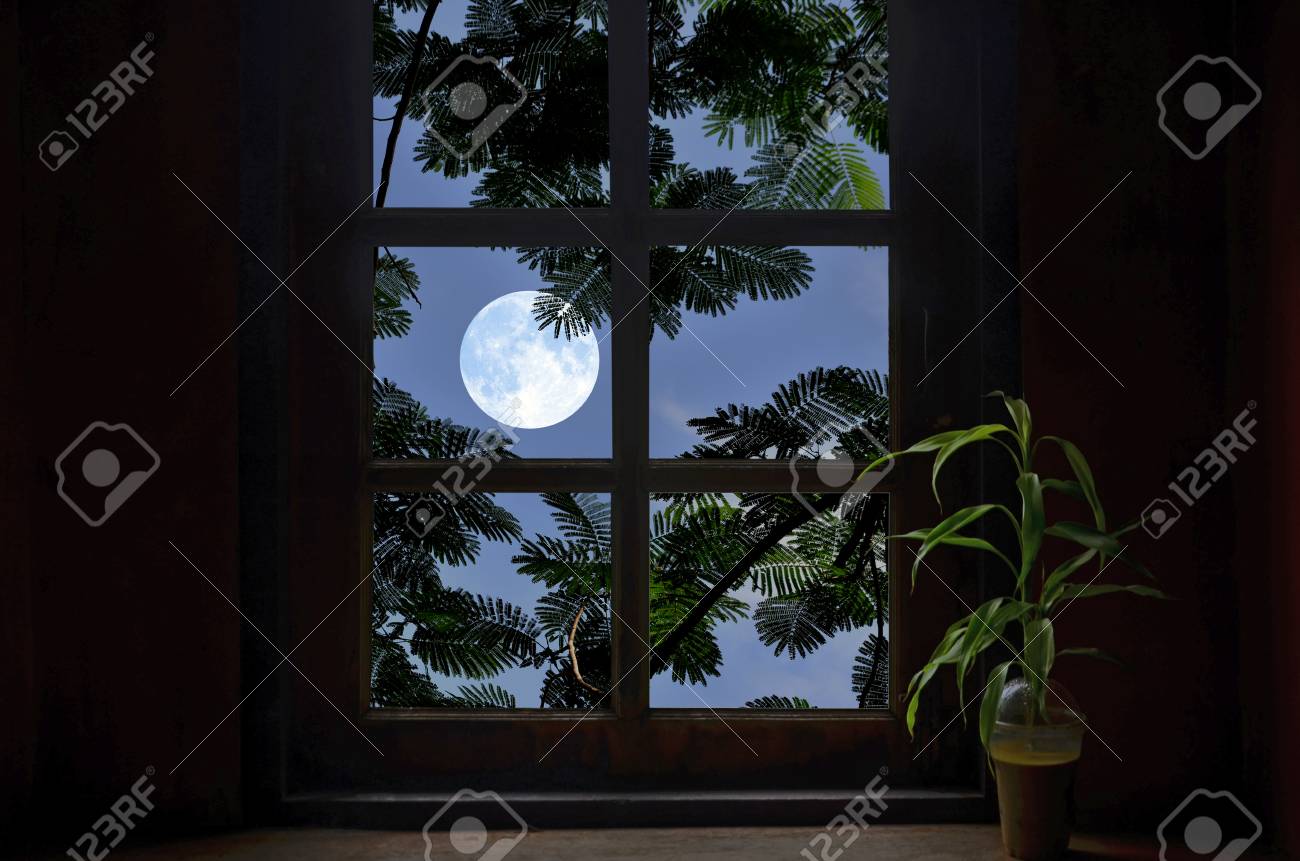 full moon and leaves in window frame stock photo picture and