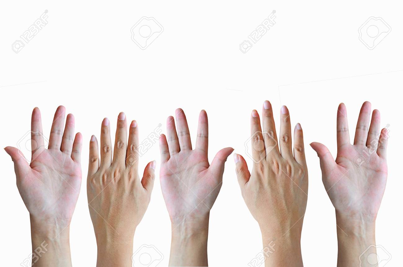 Schlanke Hände und Finger Schlanke Hände und Finger