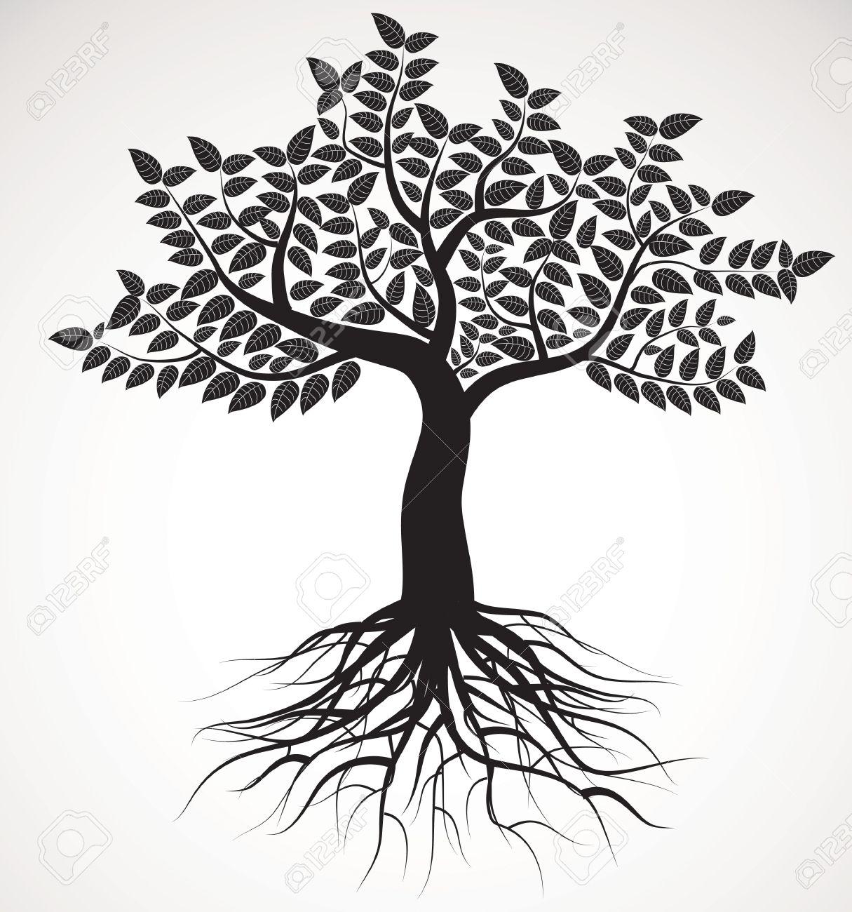 木の根と葉 ベクトル画像のイラスト素材 ベクタ Image
