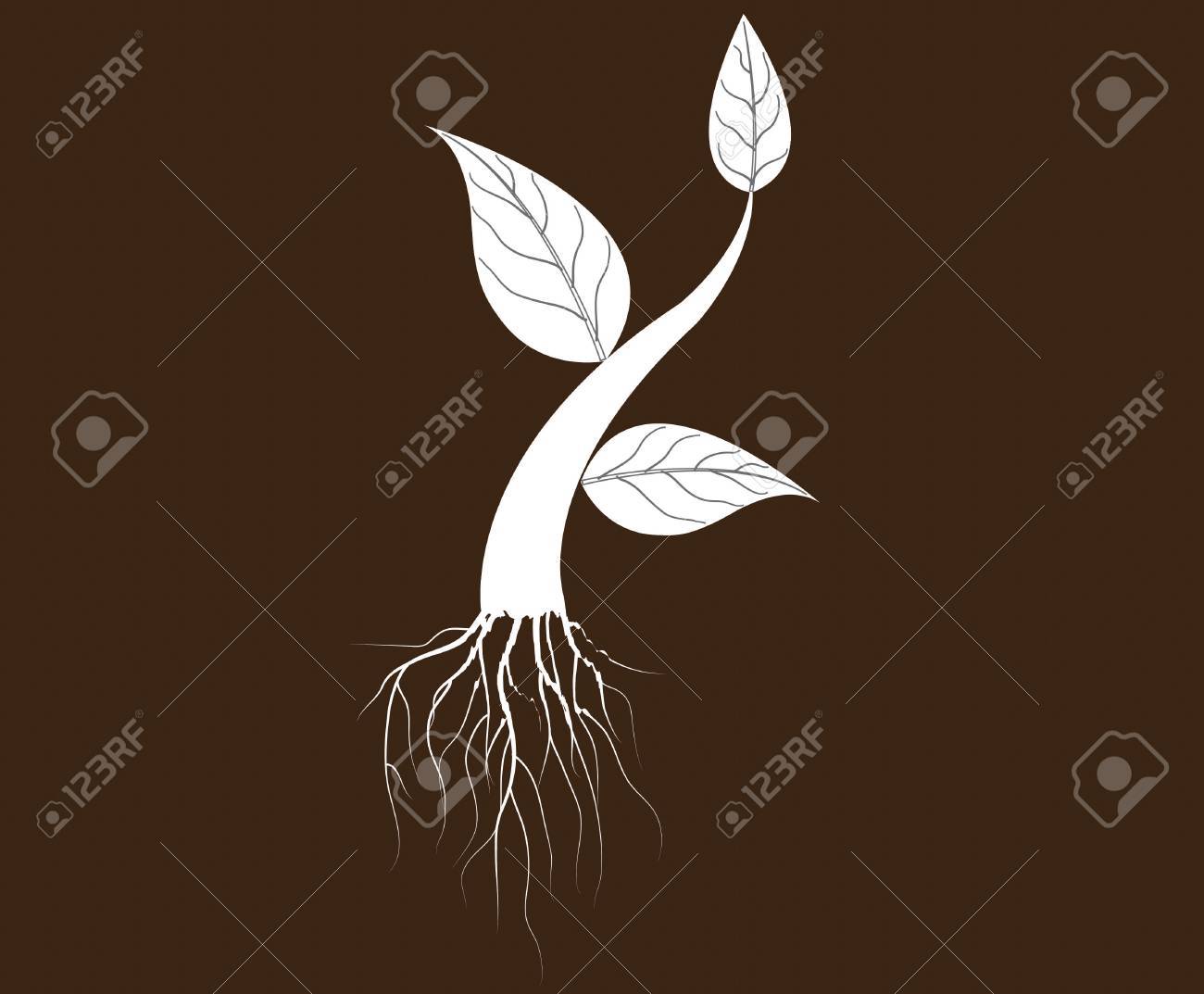 抽象的な背景に成長している植物の苗木のイラストのイラスト素材 ベクタ Image 抽象的な背景に成長している植物の苗木のイラストのイラスト素材 ベクタ Image