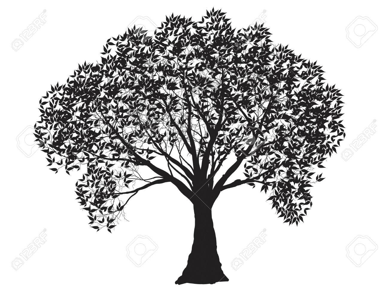 Black tree silhouette isolated on white background vector stock vector 37551747