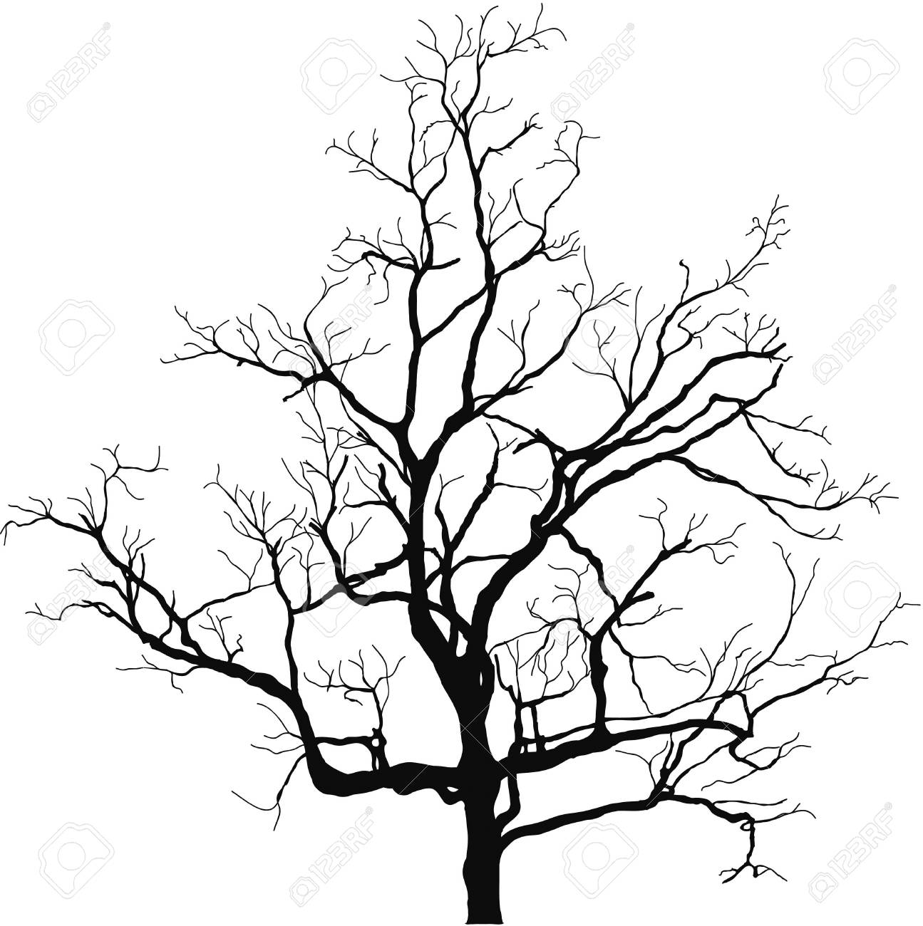 Dead Tree Silhouette Vector Royalty Free Cliparts Vectors And Stock Illustration Image 95741519