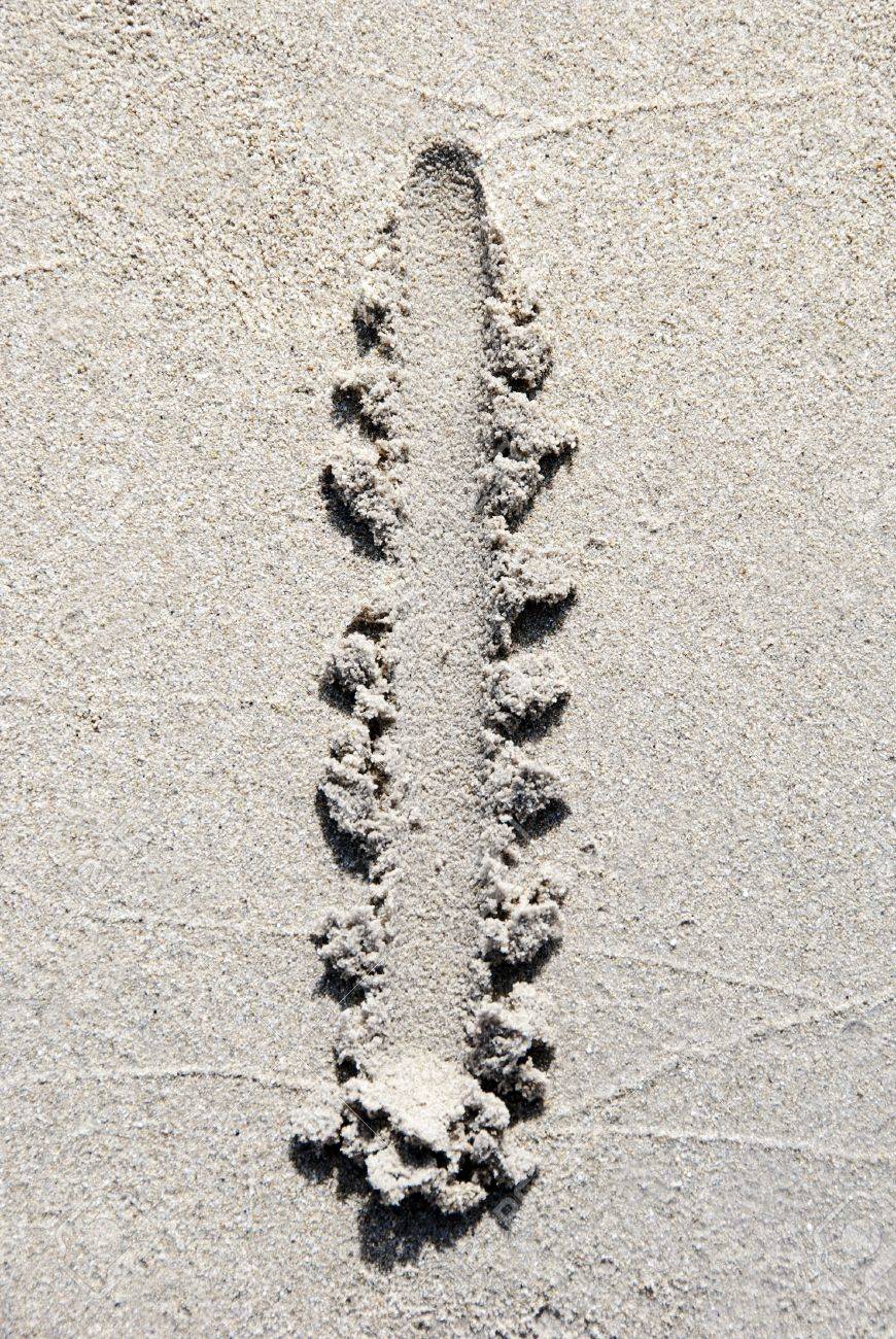 letter y photography