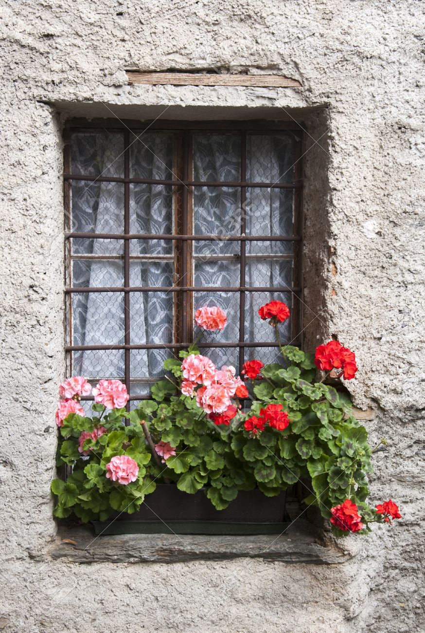 Window with Flowers