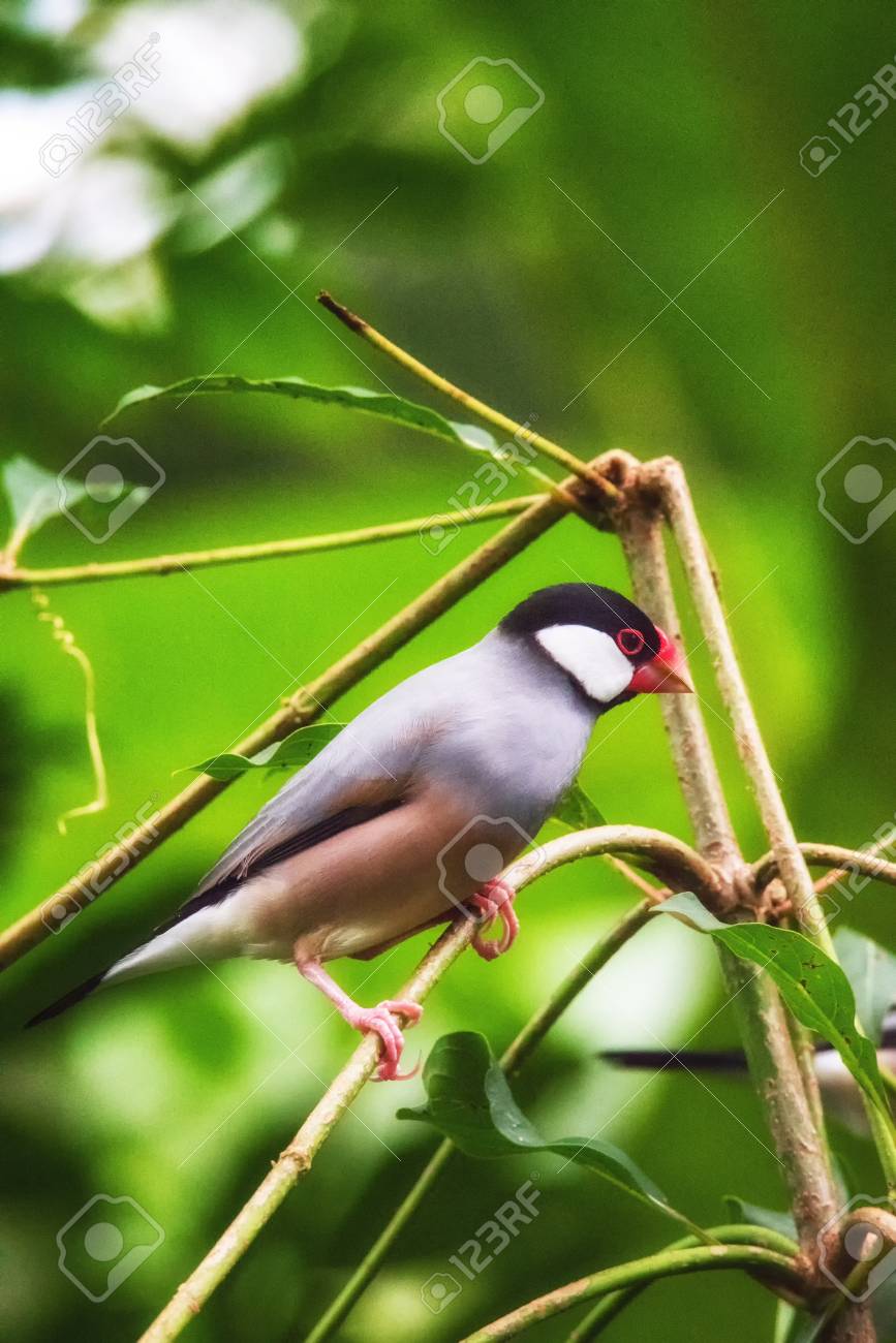 etiam-dictum-ipsum-a-felis