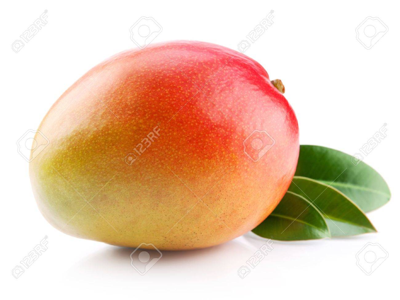 白い背景で隔離のマンゴー フルーツ の写真素材 画像素材 Image