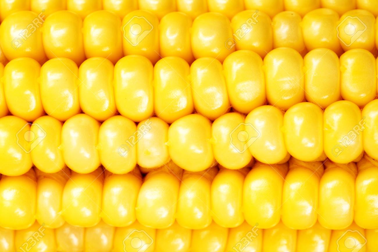 https://previews.123rf.com/images/atoss/atoss1503/atoss150300280/38731032-corn-on-the-cob-kernels-close-up-shot.jpg