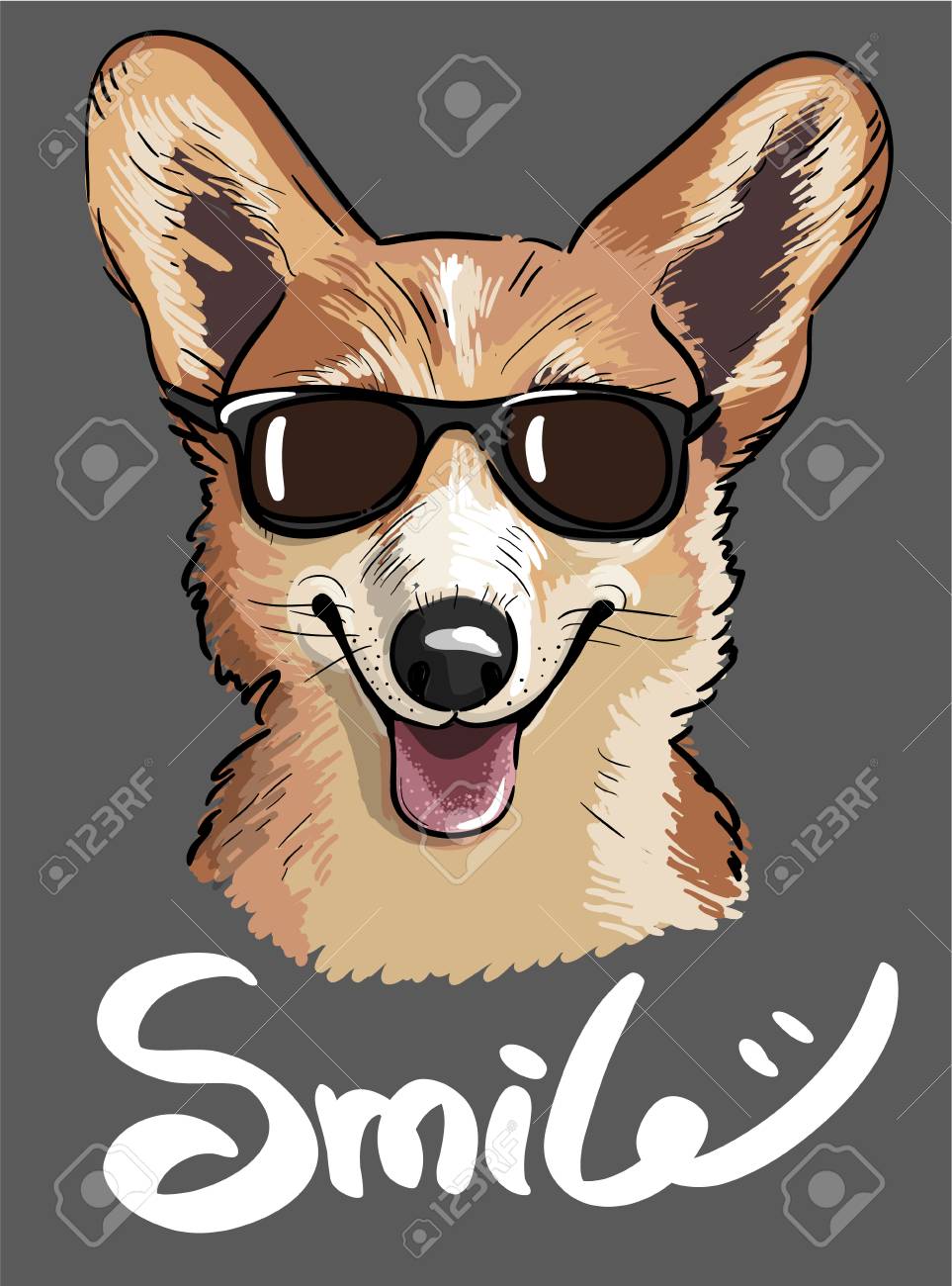 corgi sunglasses
