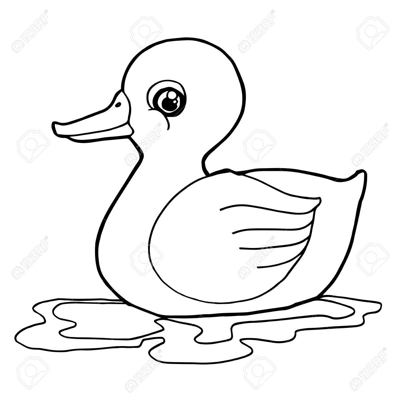 cartoon cute duck coloring page vector illustration Stock Vector