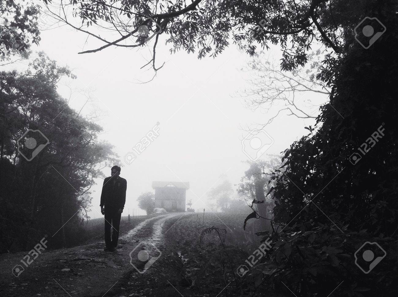 A Man Walking In A Foggy Forest Stock Photo Picture And Royalty Free Image Image 24309998