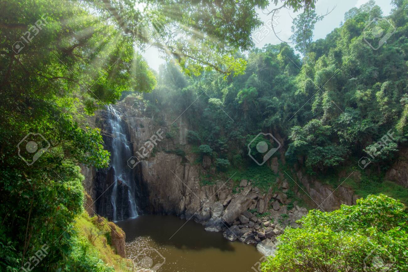 etiam-dictum-ipsum-a-felis