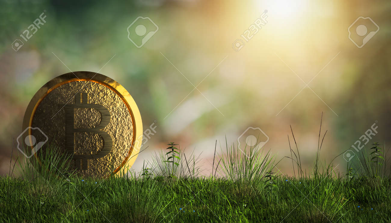 무역 거래 암호화 통화 동전 비트코인 교환은 메타버스 주식에 투자하여 돈을 절약합니다 로열티 무료 사진, 그림, 이미지 그리고  스톡포토그래피. Image 185655286