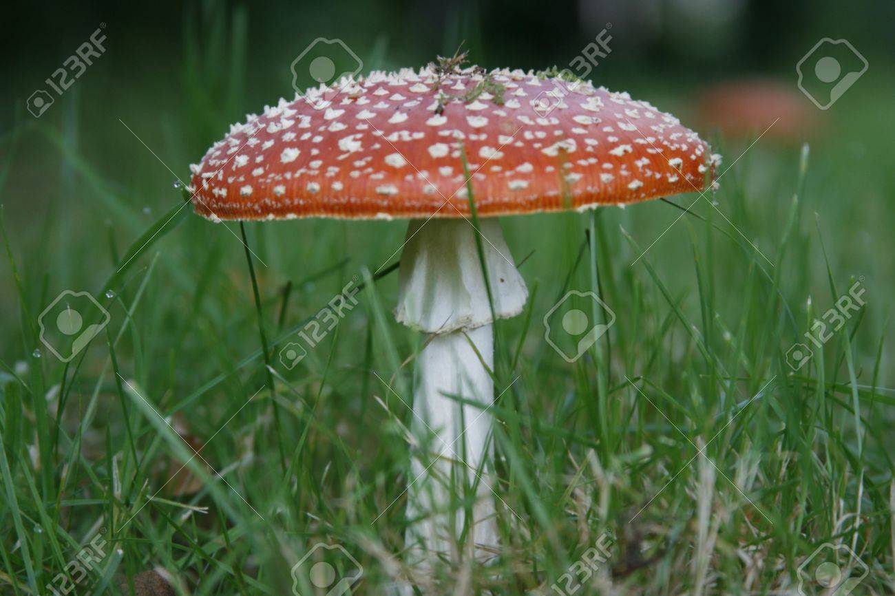 que son espasmos musculares en el estomago