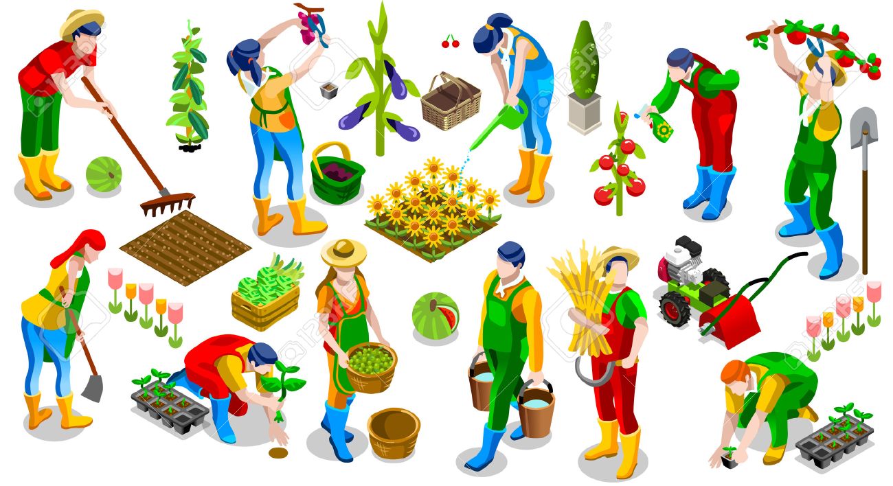 Isometric farmer people 3D icon set collection vector illustration. Farm field scene seed plant gardening tool - 70905514 Isometric farmer people 3D icon set collection vector illustration. Farm field scene seed plant gardening tool - 70905514