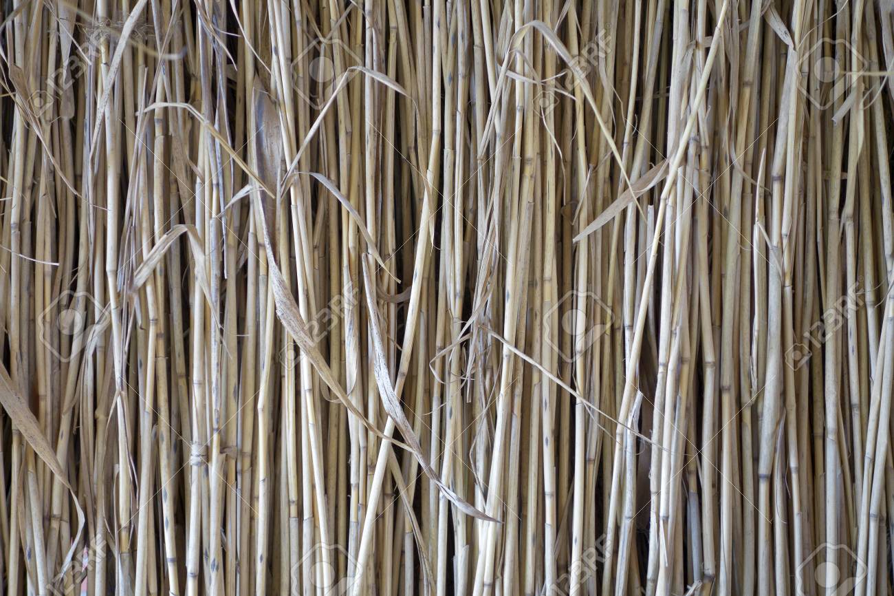 Un Fragmento De Secado Estera De Cana En La Pared De La Casa De