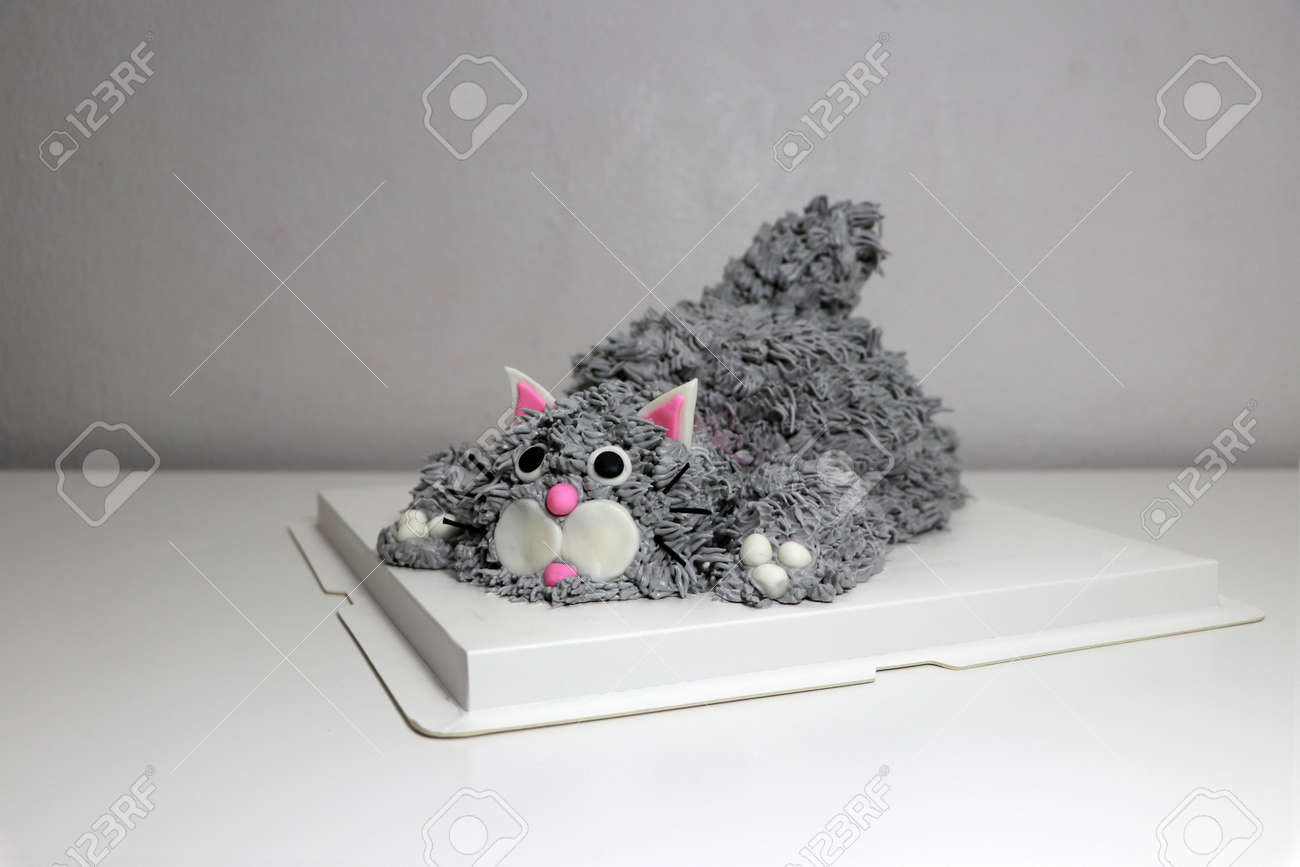 Cake made in the shape of a grey cat. It is doing a crouching pose on a white square paper tray. - 163004355 Cake made in the shape of a grey cat. It is doing a crouching pose on a white square paper tray. - 163004355
