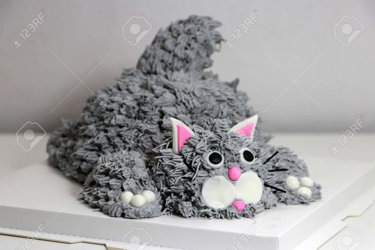 Cake made in the shape of a grey cat. It is doing a crouching pose on a white square paper tray. - 163004351 Cake made in the shape of a grey cat. It is doing a crouching pose on a white square paper tray. - 163004351