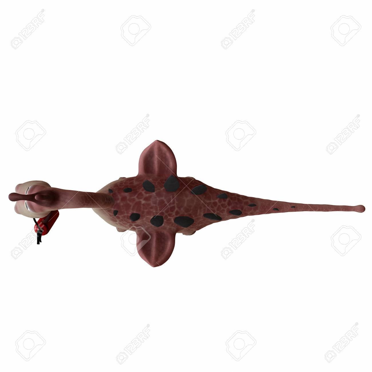 消火器 3 D イラスト ドラゴン消防士 の写真素材 画像素材 Image