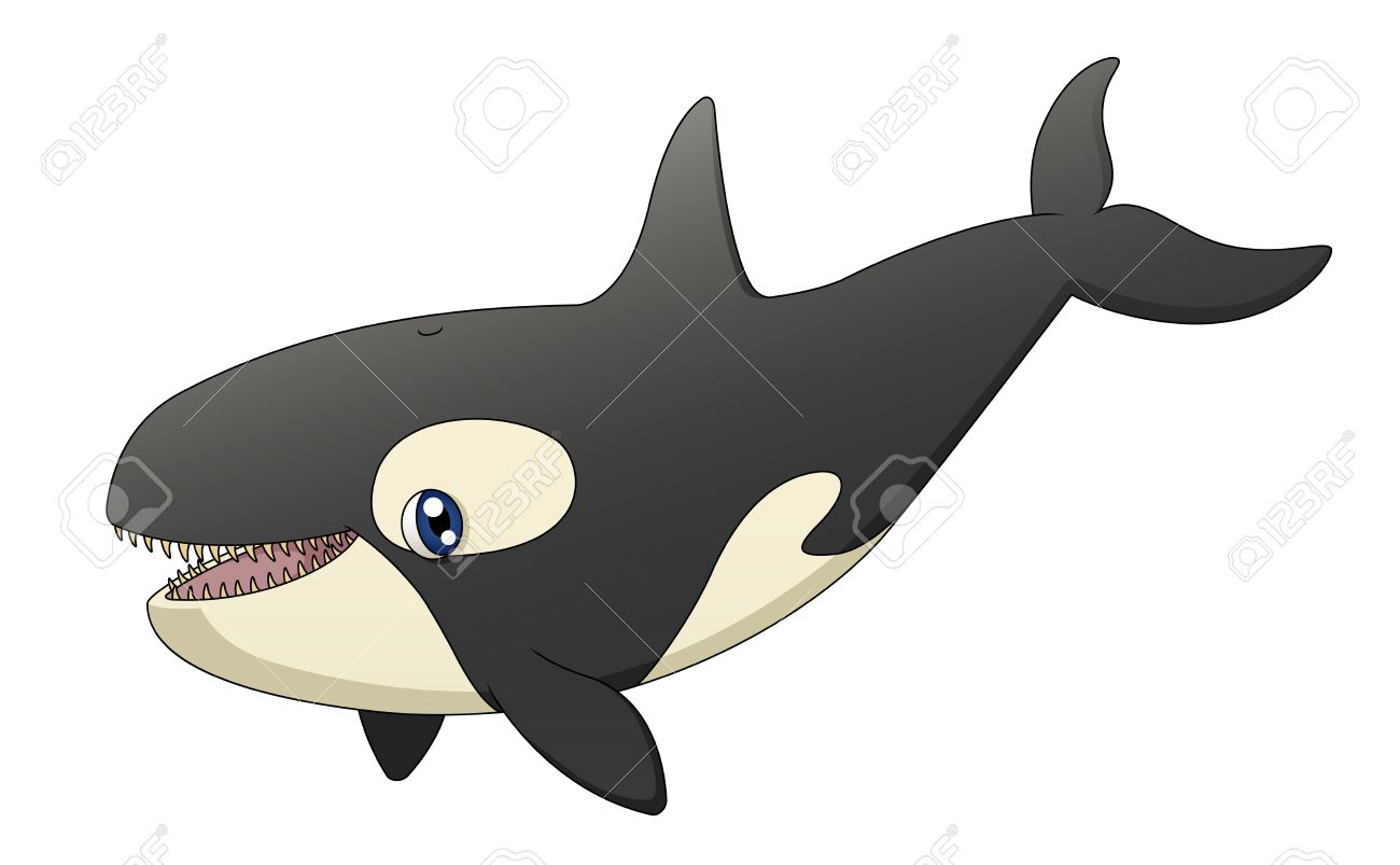 Una Ilustración Que Representa Un Asesino Lindo Dibujo Animado Canto De Ballenas Ilustraciones Svg, Vectoriales, Clip Art Vectorizado Libre De Derechos. Image 17629223. Una Ilustración Que Representa Un Asesino Lindo Dibujo Animado Canto De Ballenas Ilustraciones Svg, Vectoriales, Clip Art Vectorizado Libre De Derechos. Image 17629223.